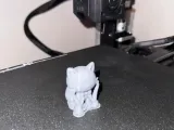 Cute Cat 🙀-3