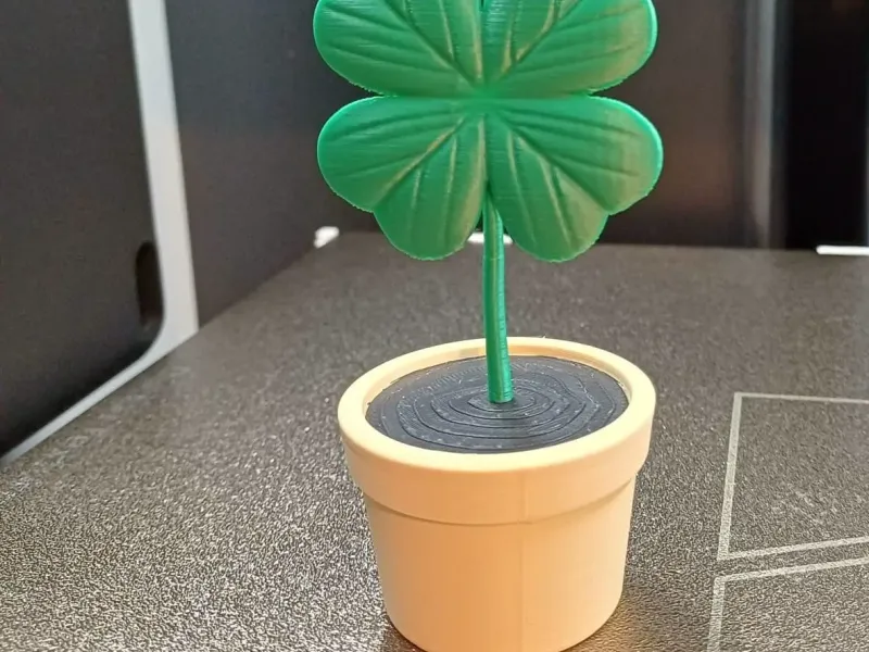 Planta de Trevo de Quatro Folhas da Sorte