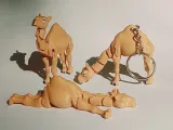 Baby Camel-2