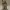 Mosscloak Sloth Grove Druid – Saw3D