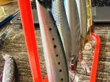 Artificial Lure Hanger-3