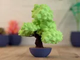 Bonsai-2