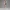 Isadora Vale – Ivory Serenity Edition