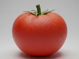 Tomate-0
