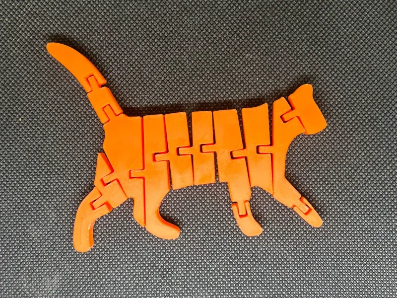 Flexi Cat