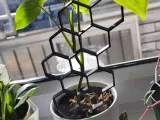 Hexagonal plant support - fast print-1