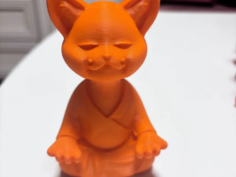 Meditating cat