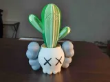 KAWS PFLANZGEFÄSS MIT KAKTUS (NACH FARBEN GETRENNT)-1