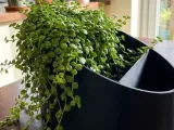 Eclipse Dual Function Planter-0