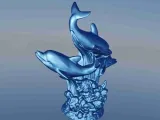Dolphin seaweed-3