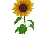 Sunflower 3D Model STL Printable-0