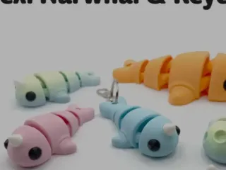Narwhal