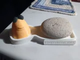 I don't like this Rock - Marcus the Worm-1