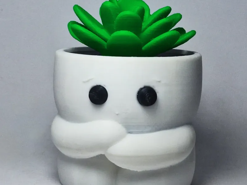 vaso planta timido