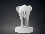 Elefante in Low Poly-7