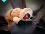 Little Sloth Flexi Multicolor 3MF-3