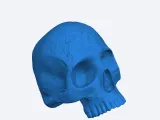 skull drawer knob-0