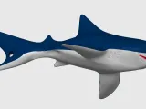 Tiger Shark, Keychain-2