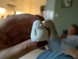 Mini Fat Penguin – Funny Collection-1