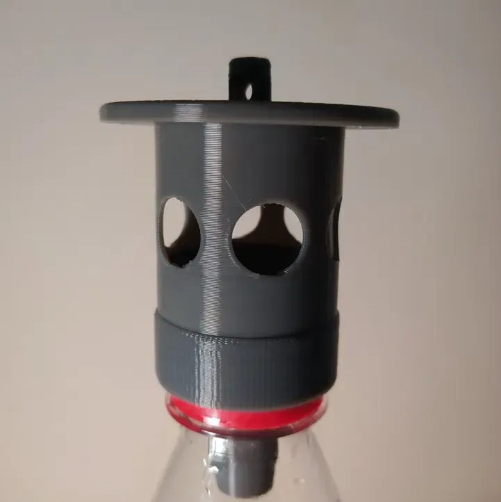 Wasp trap