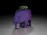 Elephant-7