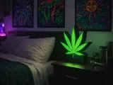Cannabis leaf lamp-1