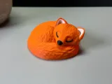 Sleeping Fox-7
