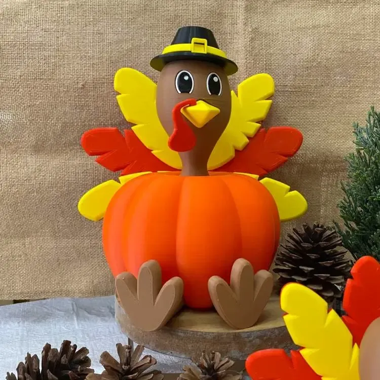 Tom-Tom the pumpkin turkey