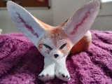 Fennec Fox-4