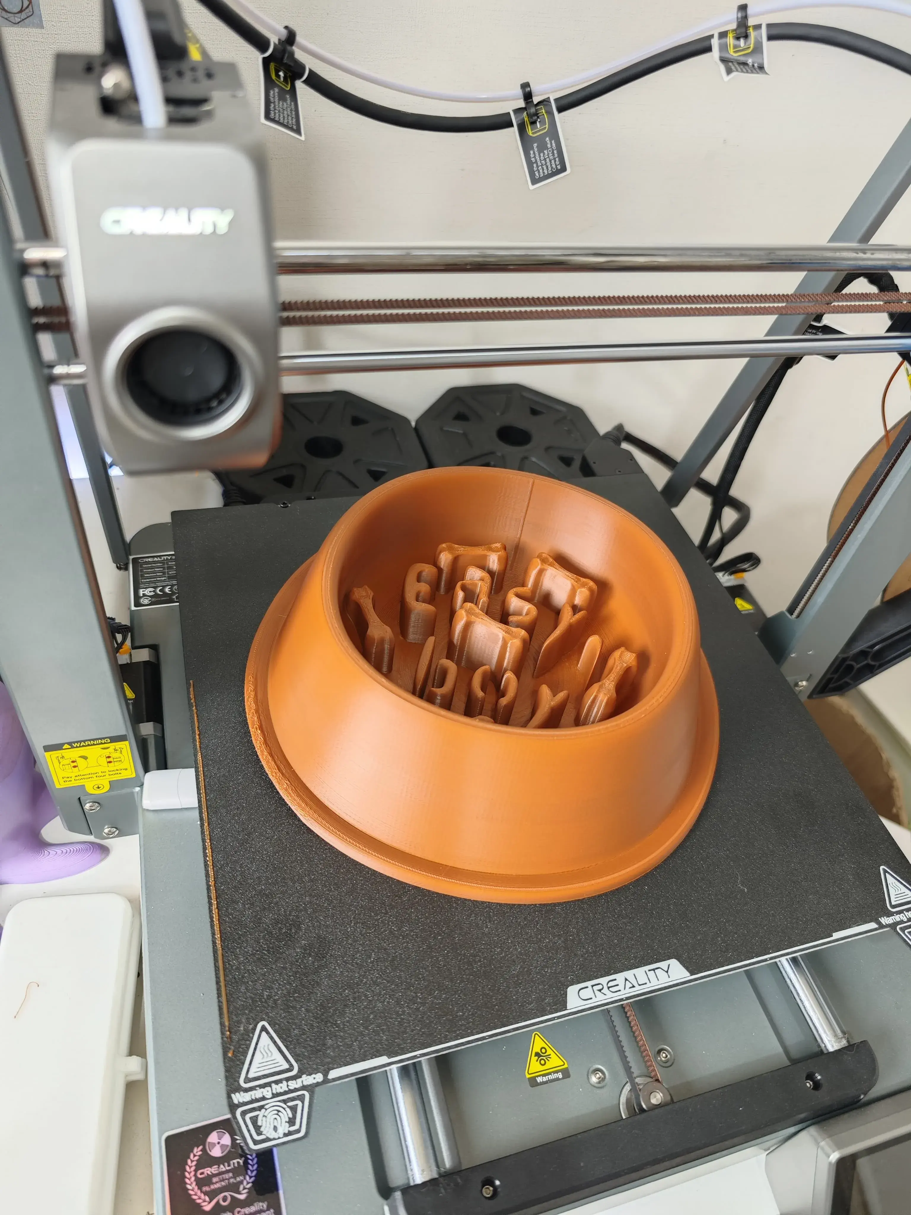 Slow Feeder Dog Bowl