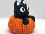 Knitted Pumpkin Cat-2