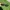 lentes pixel EGRESADO