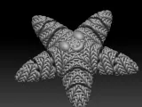 Knitted Flexi Starfish-6