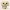 Funko Pop Lhasa Apso
