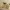 ⭐ Ster en decoratieve sneeuwvlok met licht