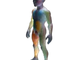 Advanced Human Body Study Collection-2