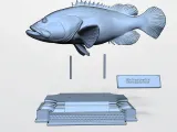 GROUPER-6