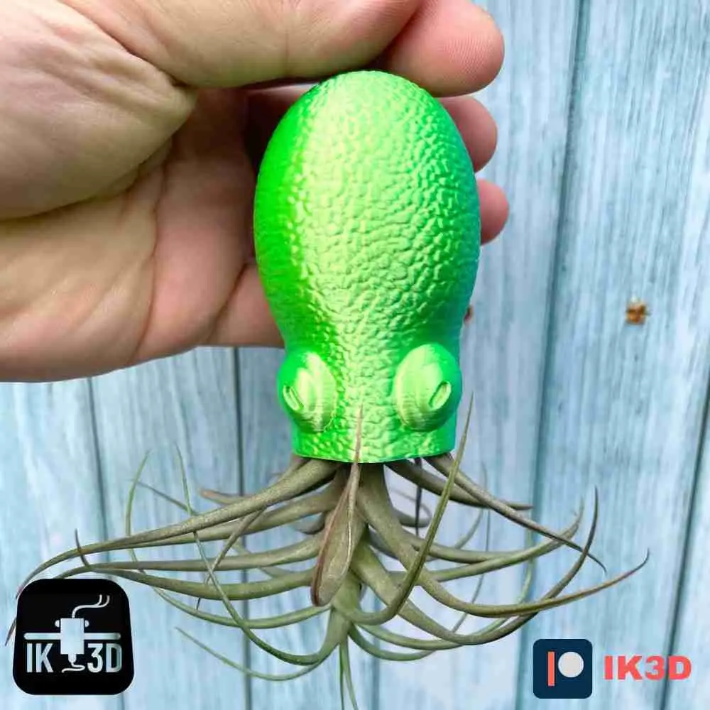 SUPORTE PARA PLANTAS SUSPENSAS DE POLVO