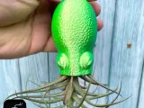 SUPORTE PARA PLANTAS SUSPENSAS DE POLVO-4