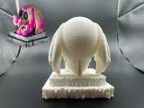 Melting dog-3
