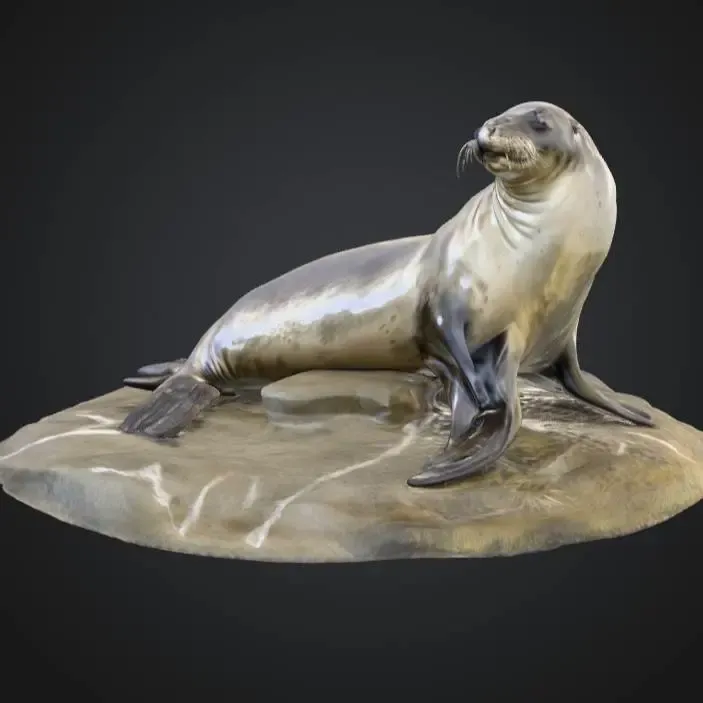 Foca descansando sobre uma rocha