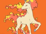 Rapidash Wall Art-0