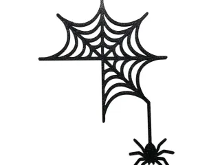 Spider web with its owner