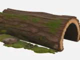 Reptile Log-1
