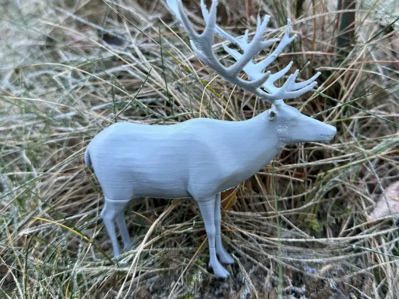 Normal realistic deer