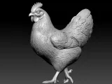 Chicken steps decor urban vibes-2