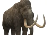 wooly mammoth-0