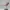 Steel Athena – Athletic Pole Dance Figurine