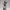 Stone Path Huntress – Tribal Spear Collectible Figurine