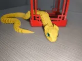 Adorable serpiente murciélago-7